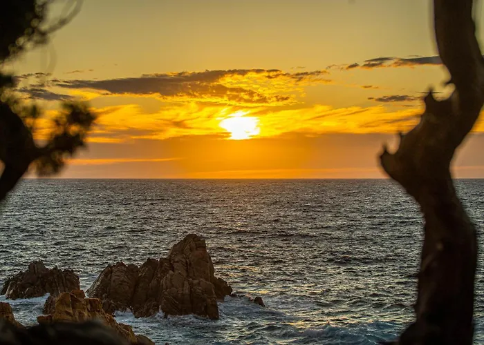 Hotel Costa Paradiso Hotel Costa Paradiso