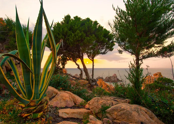 Hotel Costa Paradiso Hotel Costa Paradiso