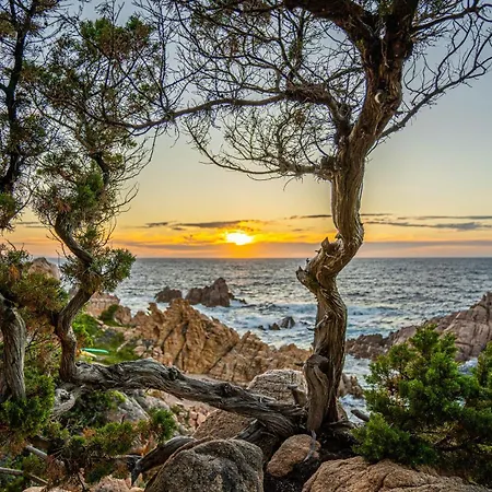 Hotel Costa Paradiso Costa Paradiso