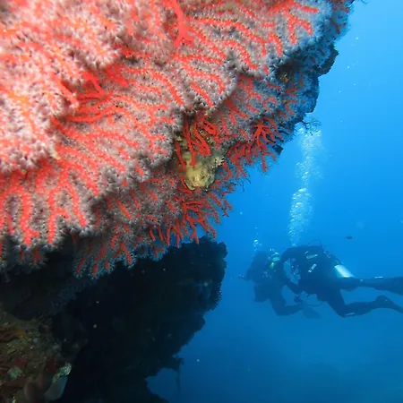 Hotel Hotel Costa Paradiso Costa Paradiso