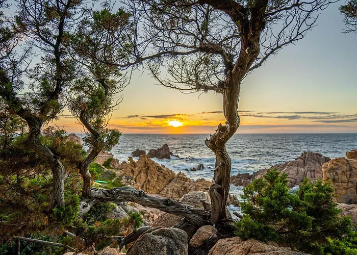 Hotel Costa Paradiso Costa Paradiso