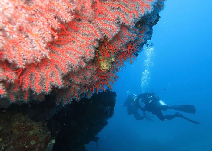 Hotel Hotel Costa Paradiso Costa Paradiso